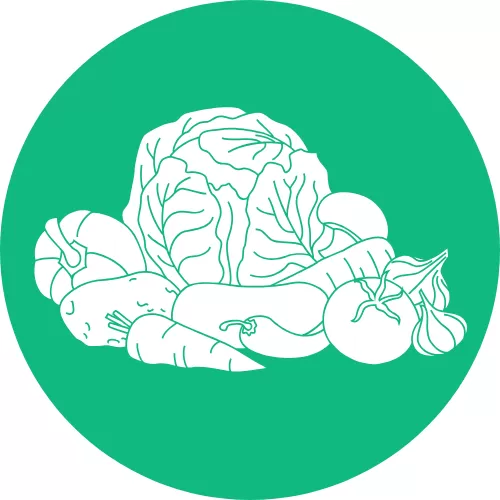 Sayur Segar