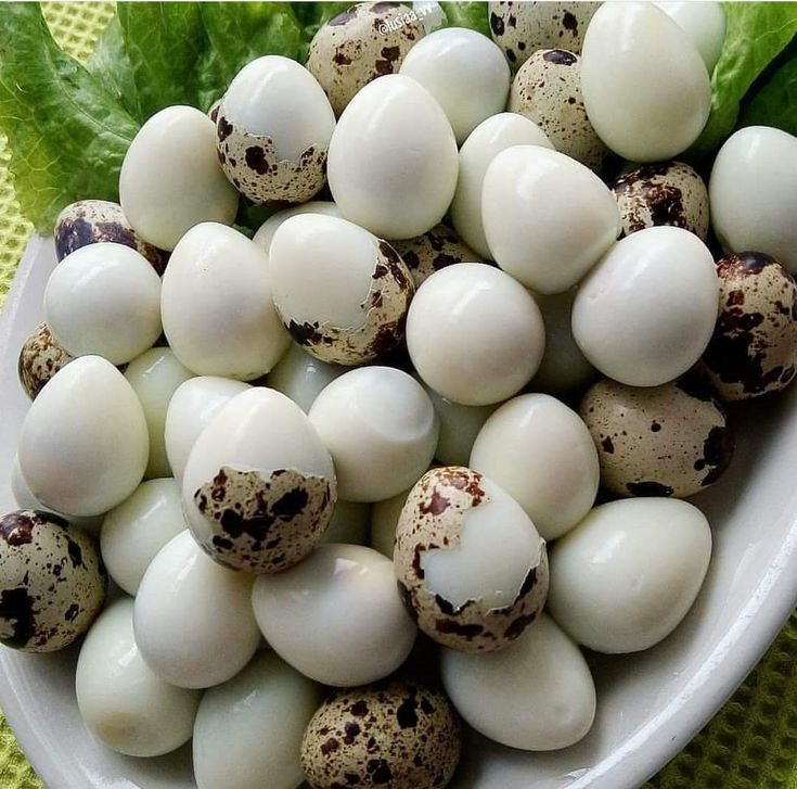 Telur Puyuh