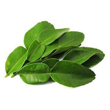 Daun Salam
