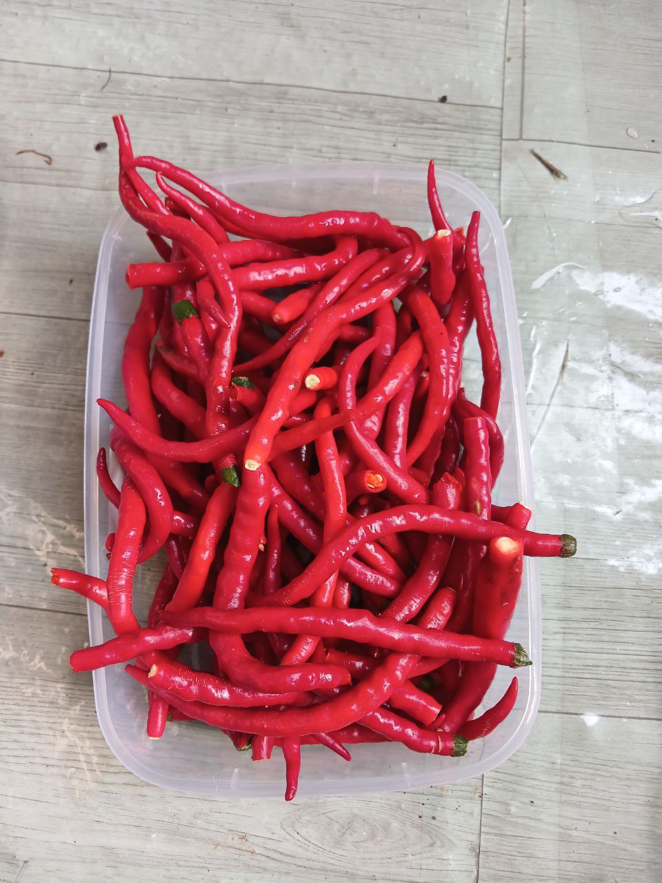Cabe Merah