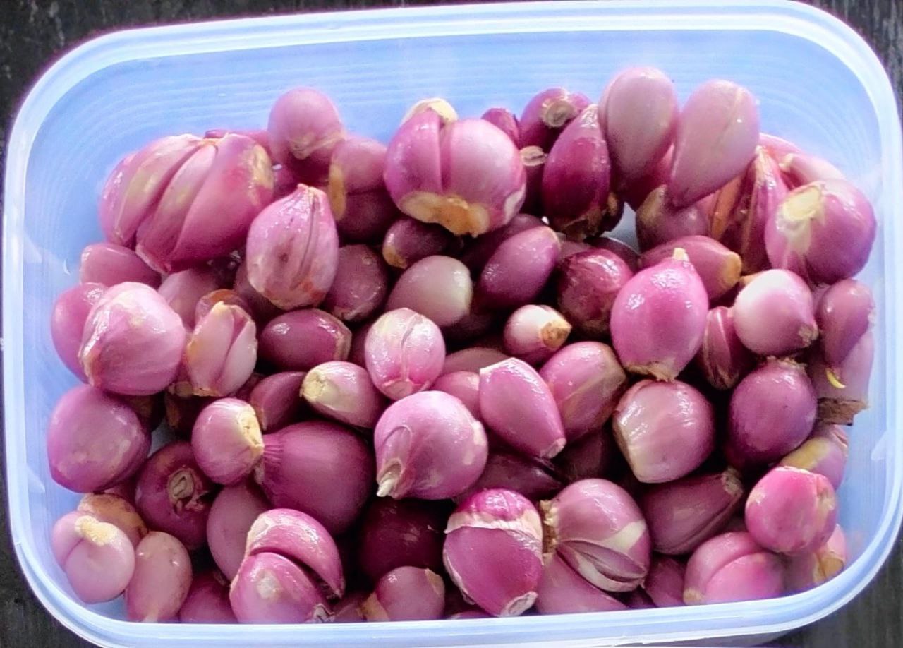 Bawang Merah