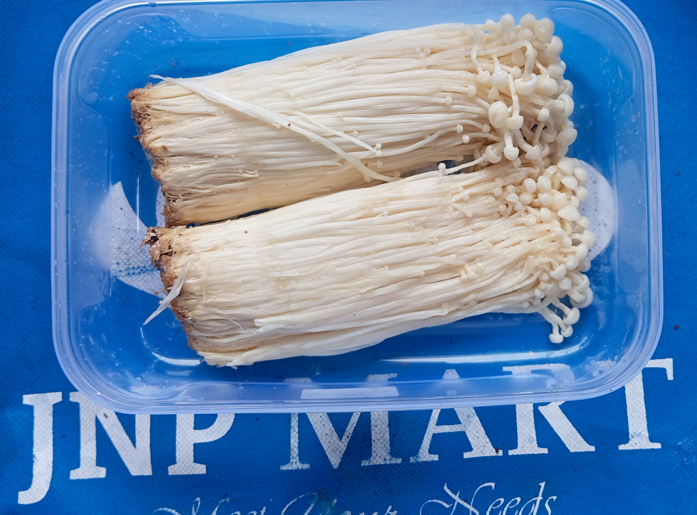 Jamur Enoki