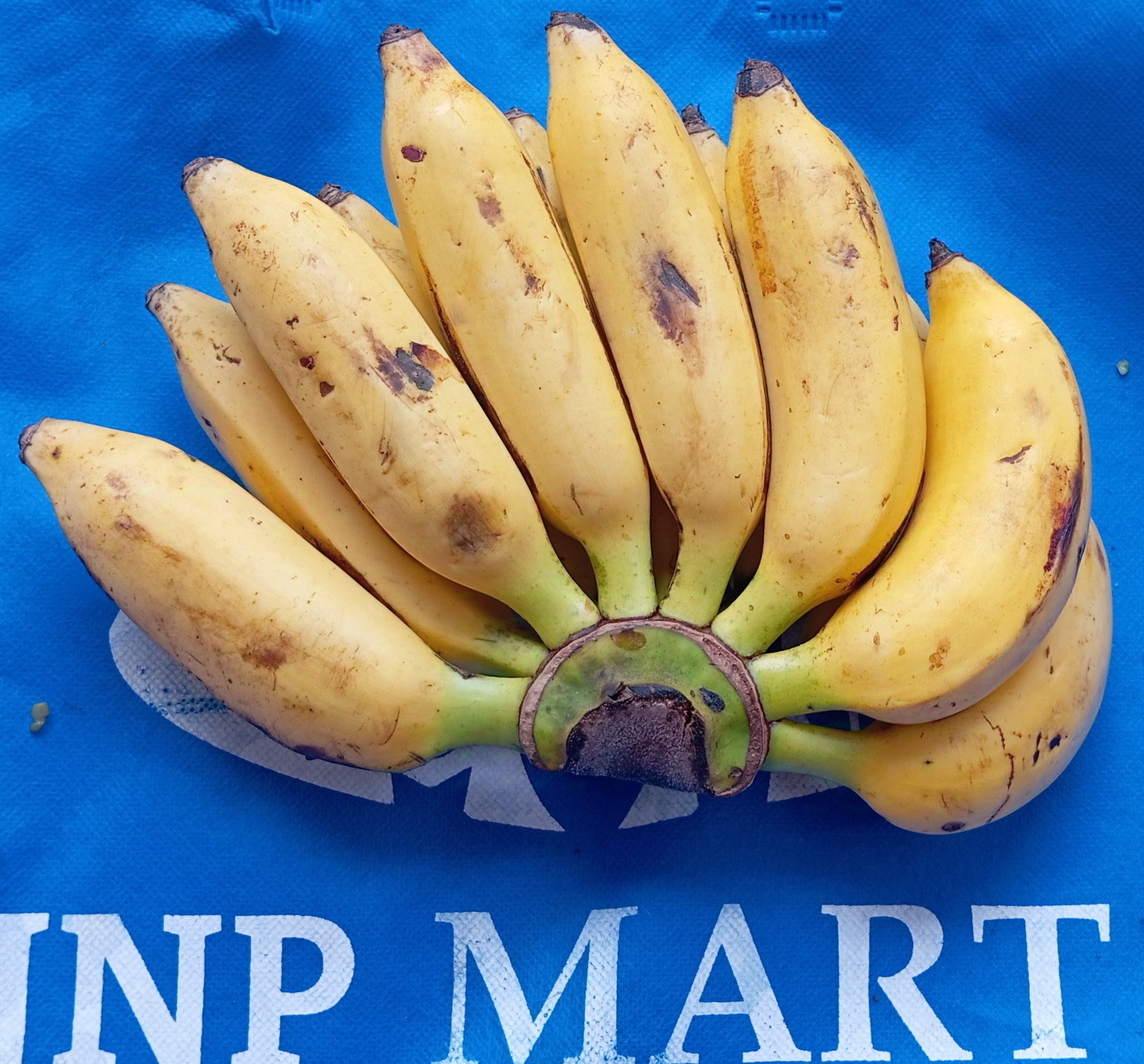 Pisang Janten