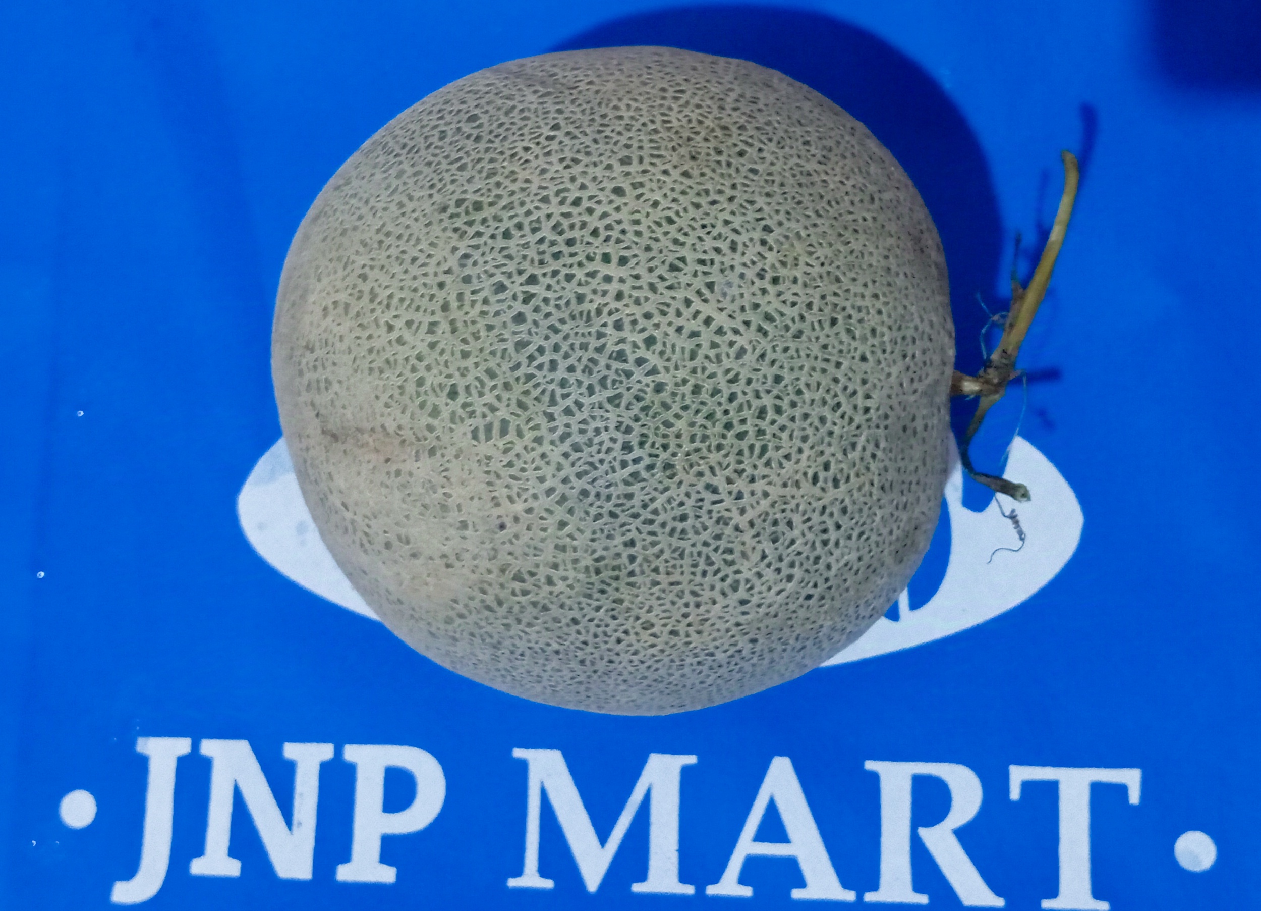 Melon