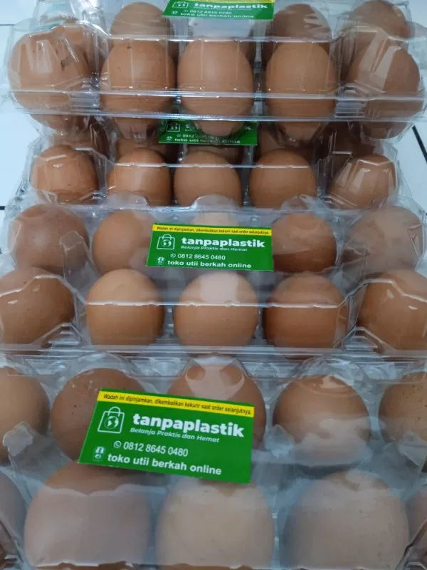 Telor ayam negri isi 10 pcs