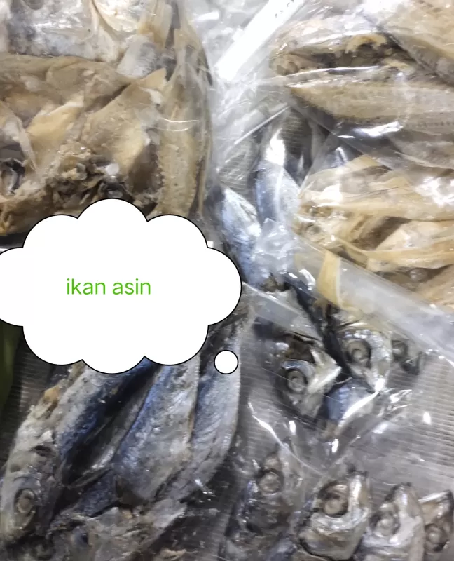 Ikan asin
