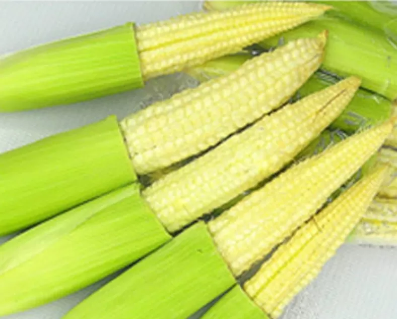Jagung baby / Putren 