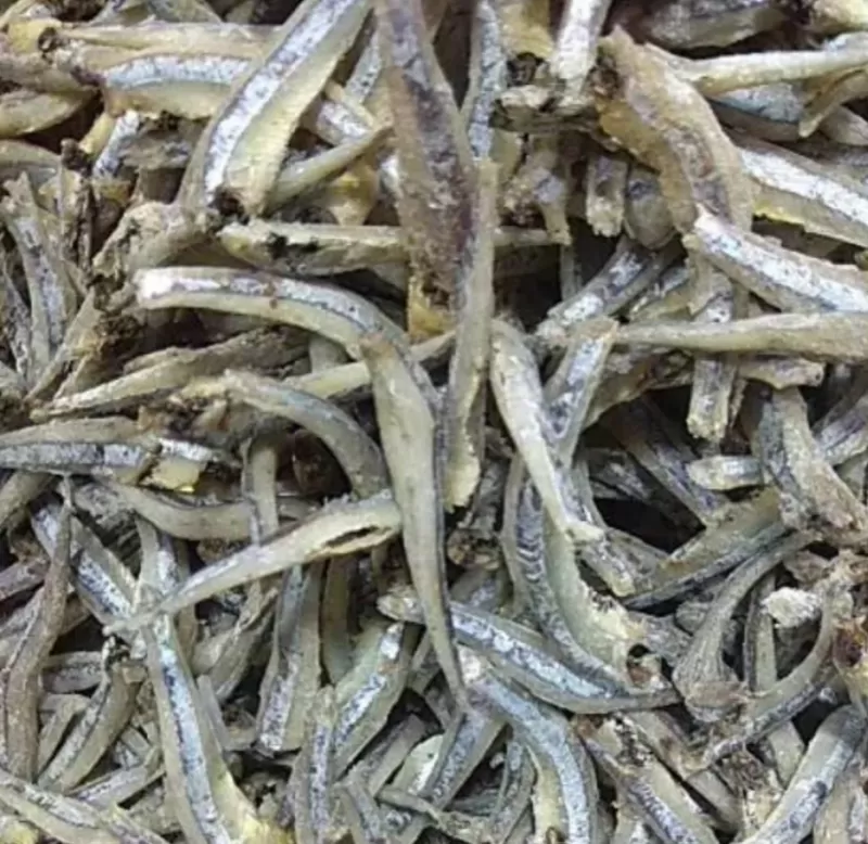 Ikan asin teri
