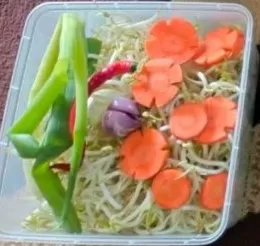 Tumis tauge