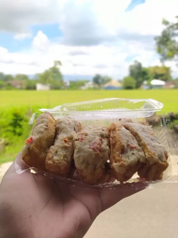 Tahu bakso