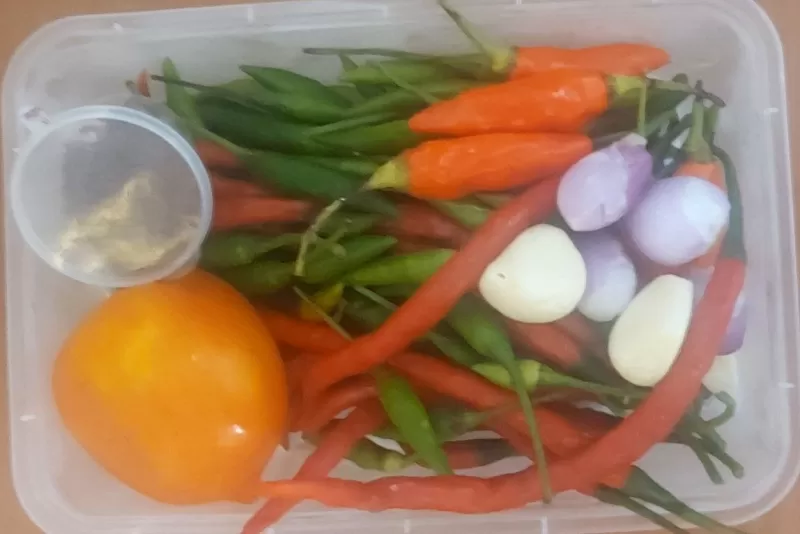 Sambel Trasi