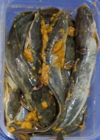 Ikan Lele Marinasi