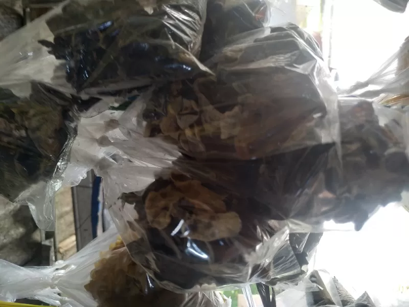 Jamur kuping kering