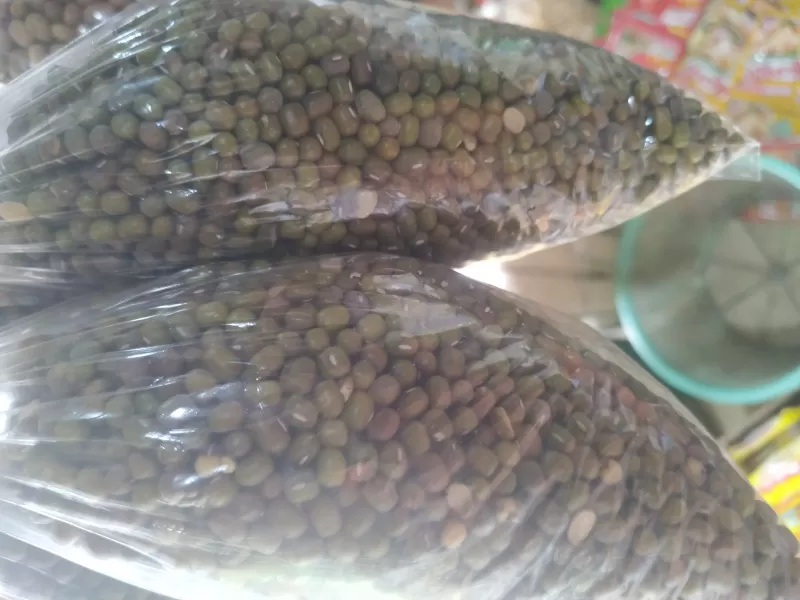 Kacang ijo