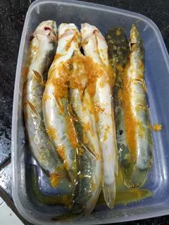 Ikan Lele Marinasi
