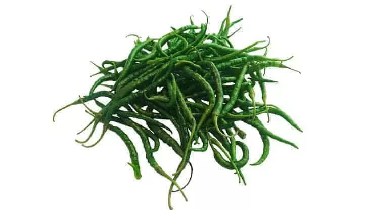 cabe kriting hijau