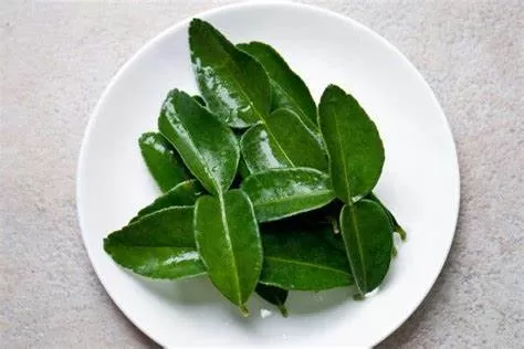 Daun jeruk