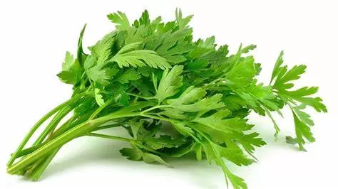 seledri