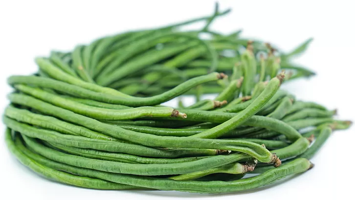 Kacang Panjang