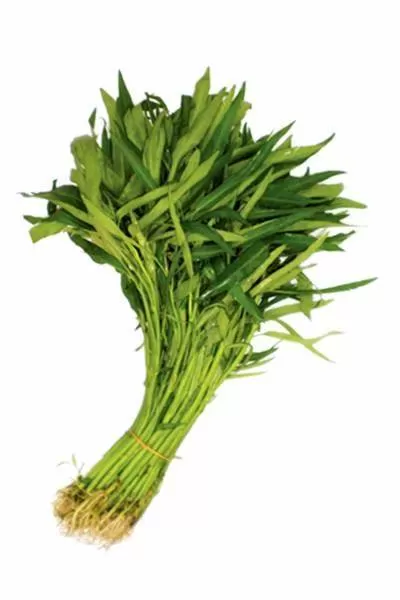 Kangkung