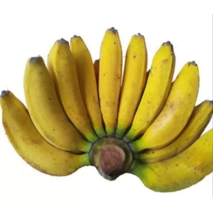 Pisang Rajabulu