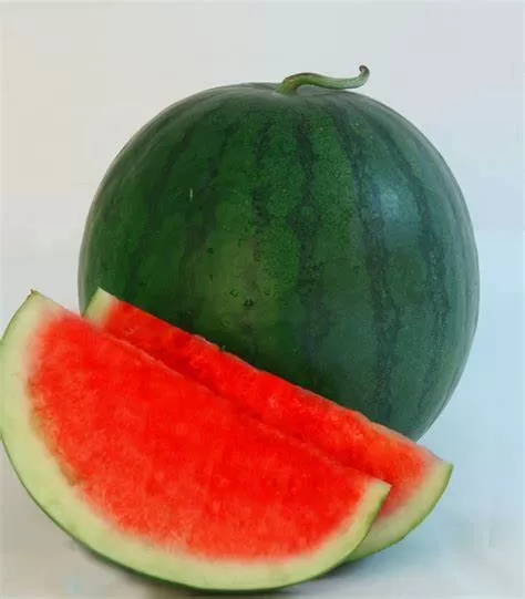 semangka non biji