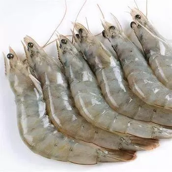 Udang segar