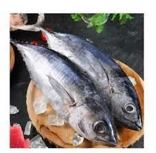 tuna
