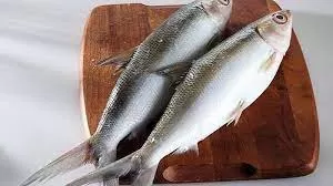 ikan bandeng