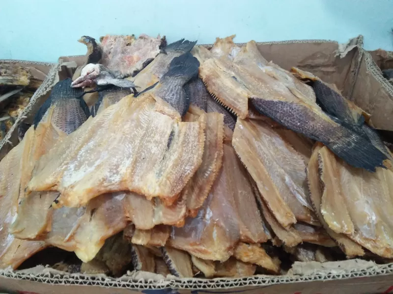 ikan asin gabus