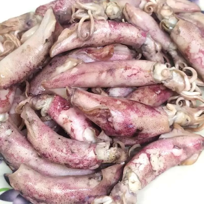 ikan asin cumi