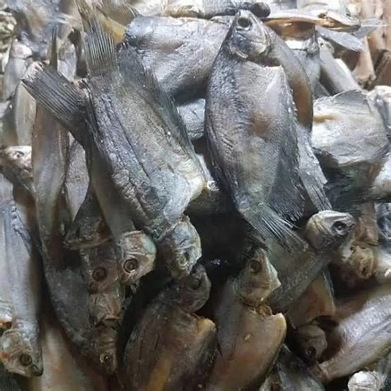 Ikan Asin sepat