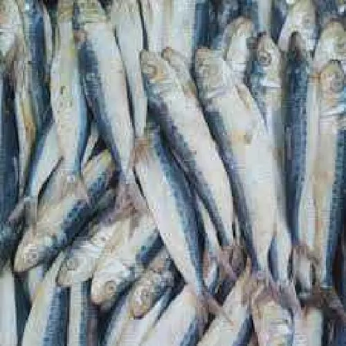 ikan asin lemuru