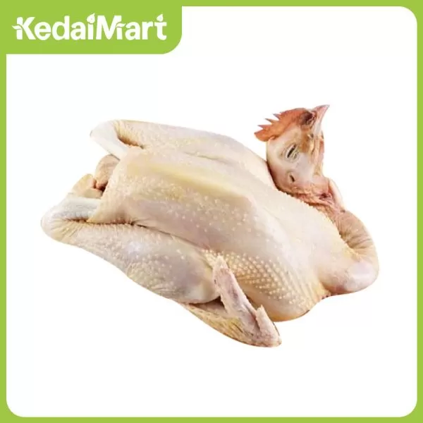Ayam Kampung