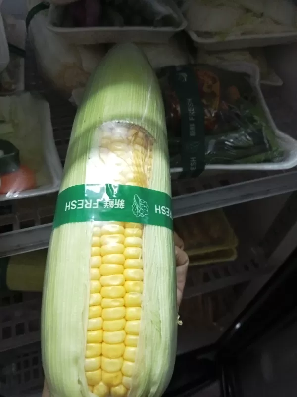 Jagung manis