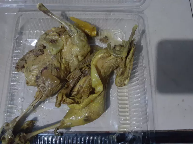 Bebek ungkep