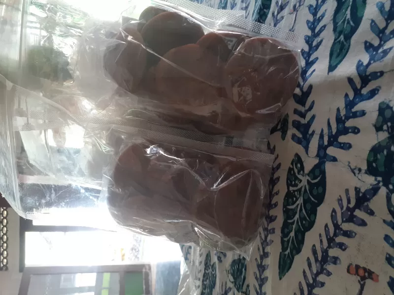 Gula aren