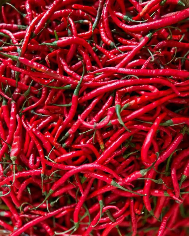 Cabai merah (10 kg × 37.000) 