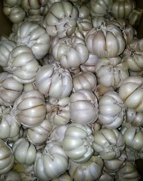 Bawang Putih (10 kg × 38.000) 