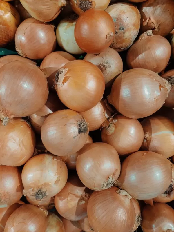 Bawang Bombay (10 kg × 31.000) 