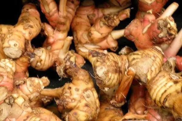 Laos (10 kg × 8.000) 