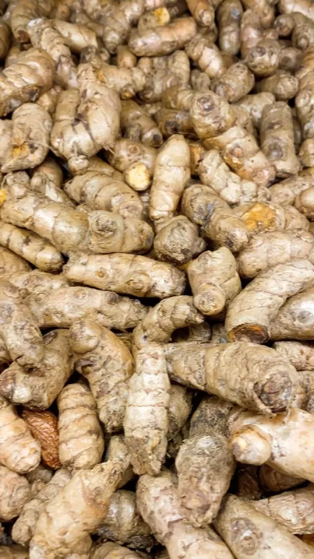 Kunyit (10 kg × 13.000) 