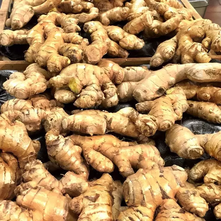 Jahe (10 kg × 38.000) 