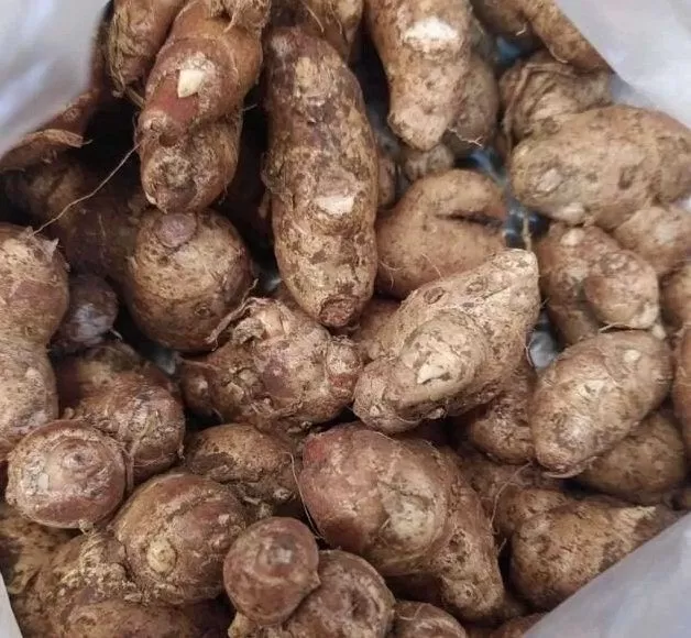 Kencur (10 kg × 38.000) 