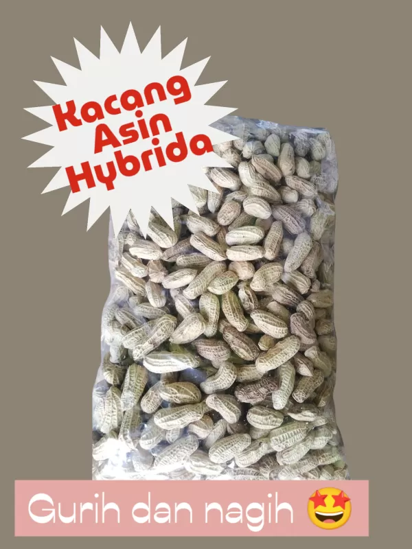 Kacang Asin Hybrida