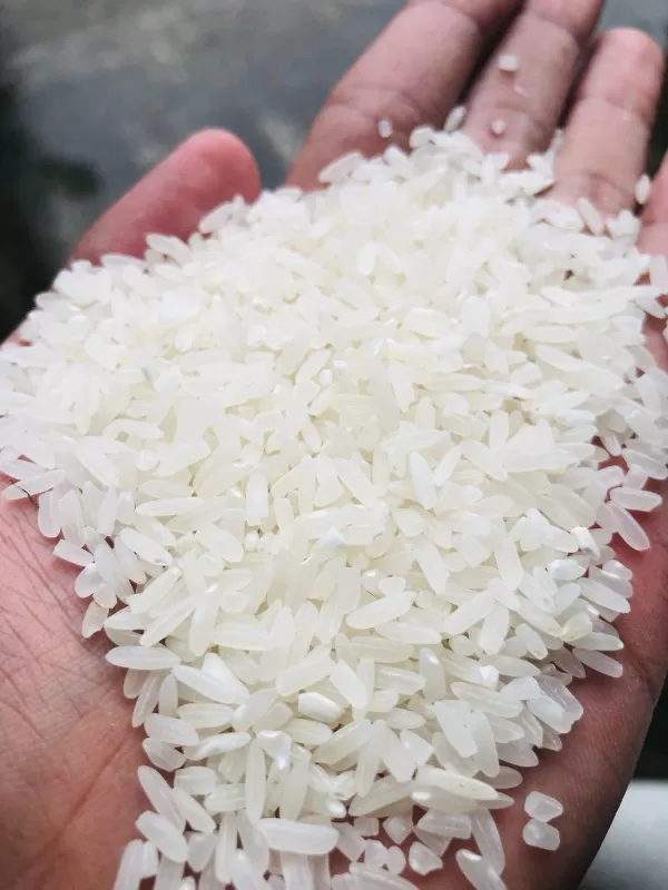 BERAS URAI CAMPUR MENTHIK