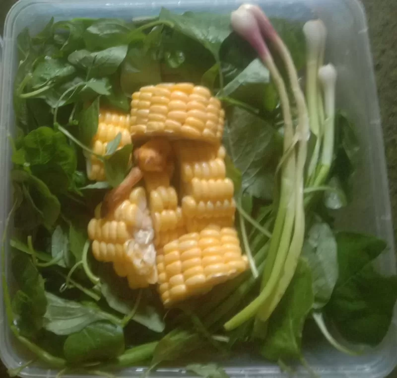 SAYUR BAYEM