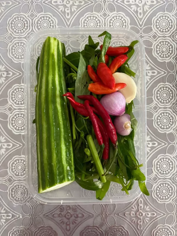 KANGKUNG OYONG