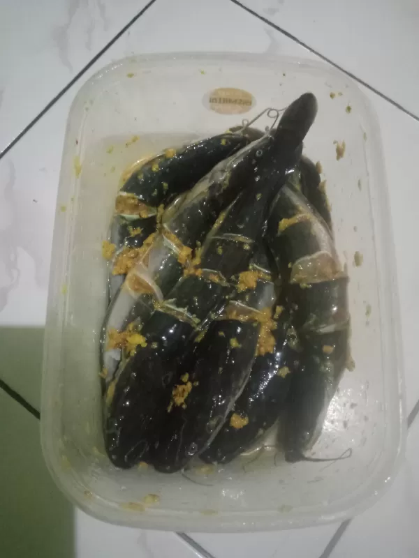 Ikan Lele Marinasi 