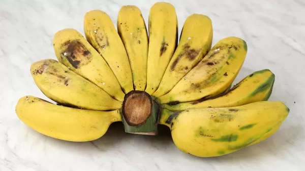 Pisang kepok